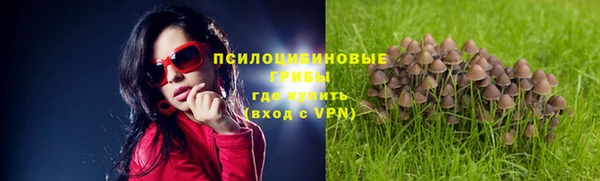 PSILOCYBIN Алексеевка