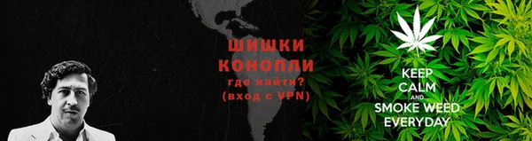 ГАЛЛЮЦИНОГЕННЫЕ ГРИБЫ Каменногорск