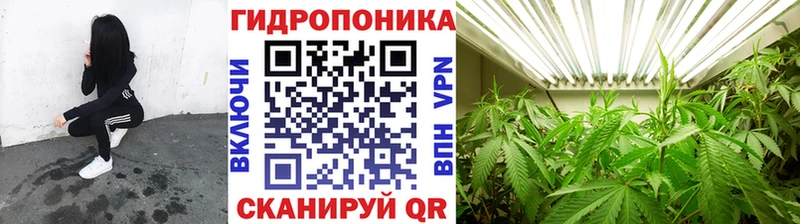 МЕГА tor  что такое   Петровск  Шишки марихуана план 